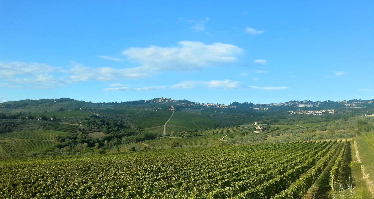 Private Tour Explore The Essence Of Tuscany By Caf Tour And Travel Code Tuscsb Tourradar 2950