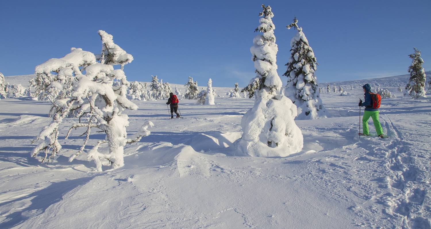 Finland Bucketlist: Winteravontuur Lapland - journaway