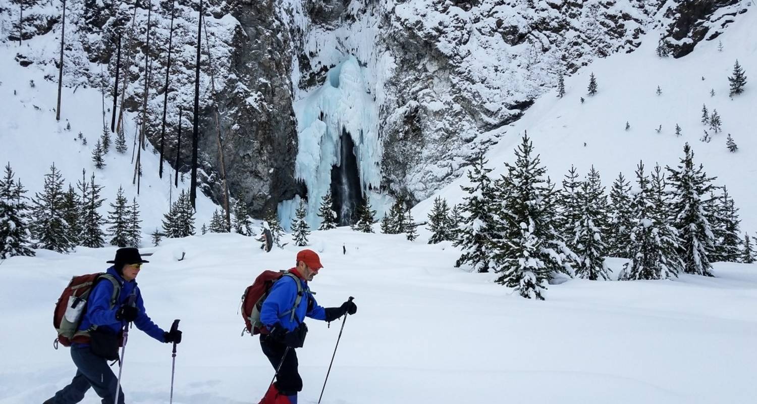 10 Mejores Circuitos en Montañas Rocosas desde Bozeman - TourRadar