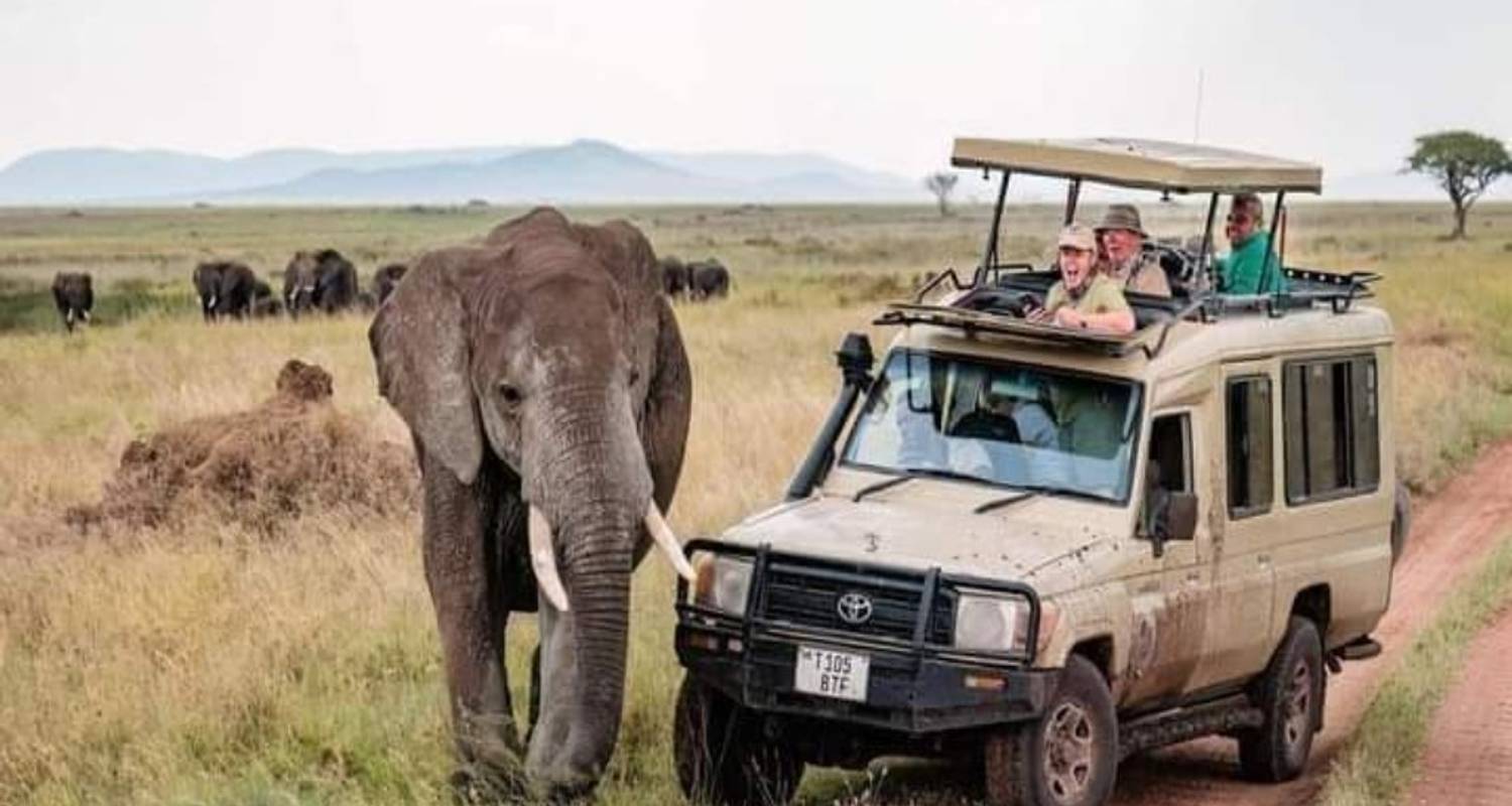 Safari de 3 días en campamento por Tanzania - kilimanjaro habitas