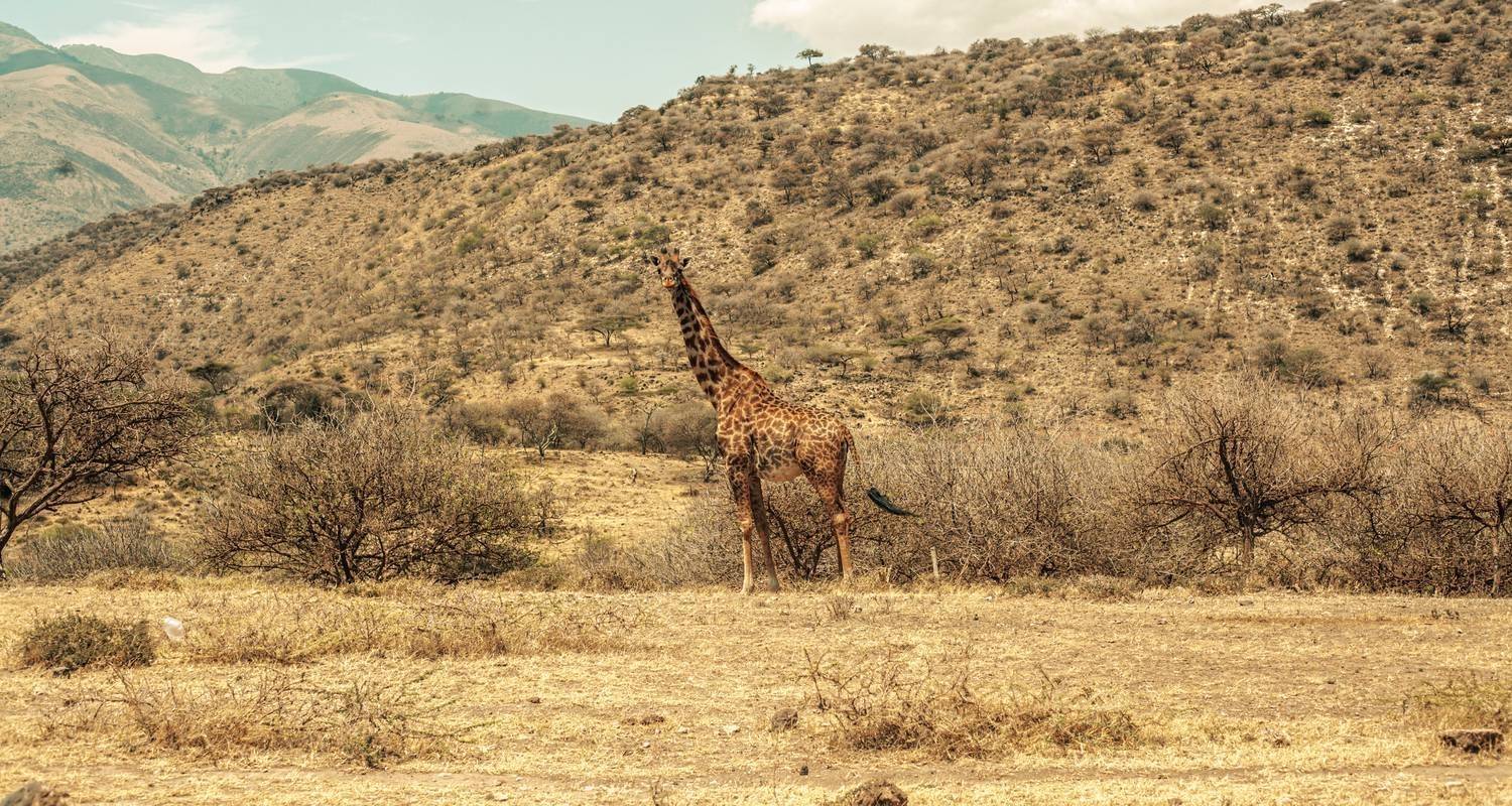 Cyclisme du Kilimandjaro au cratère du Ngorongoro - Click Expeditions