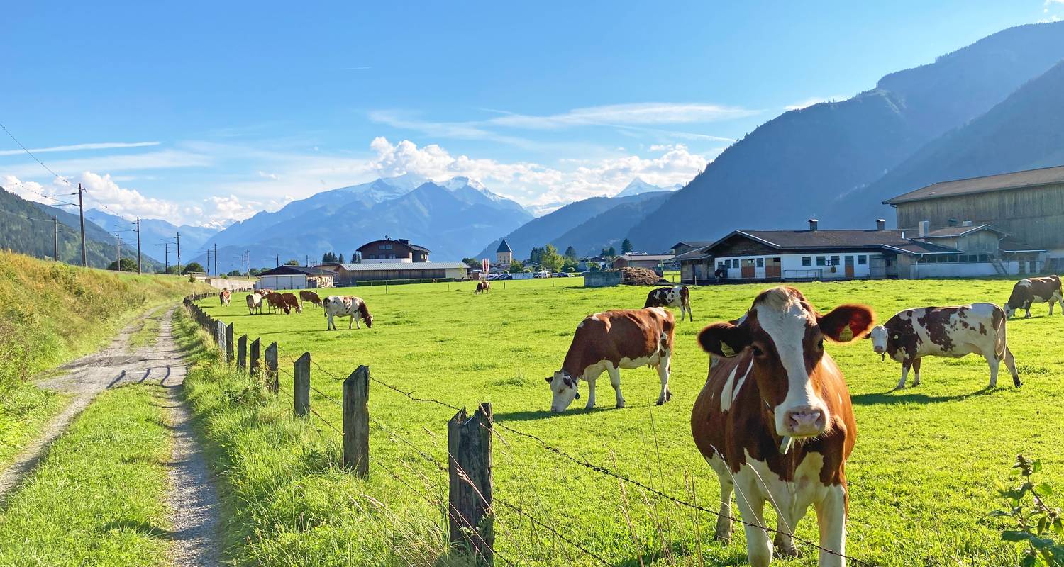 Innsbruck - Salzburg - Vienna Cycle Tour - 13 days