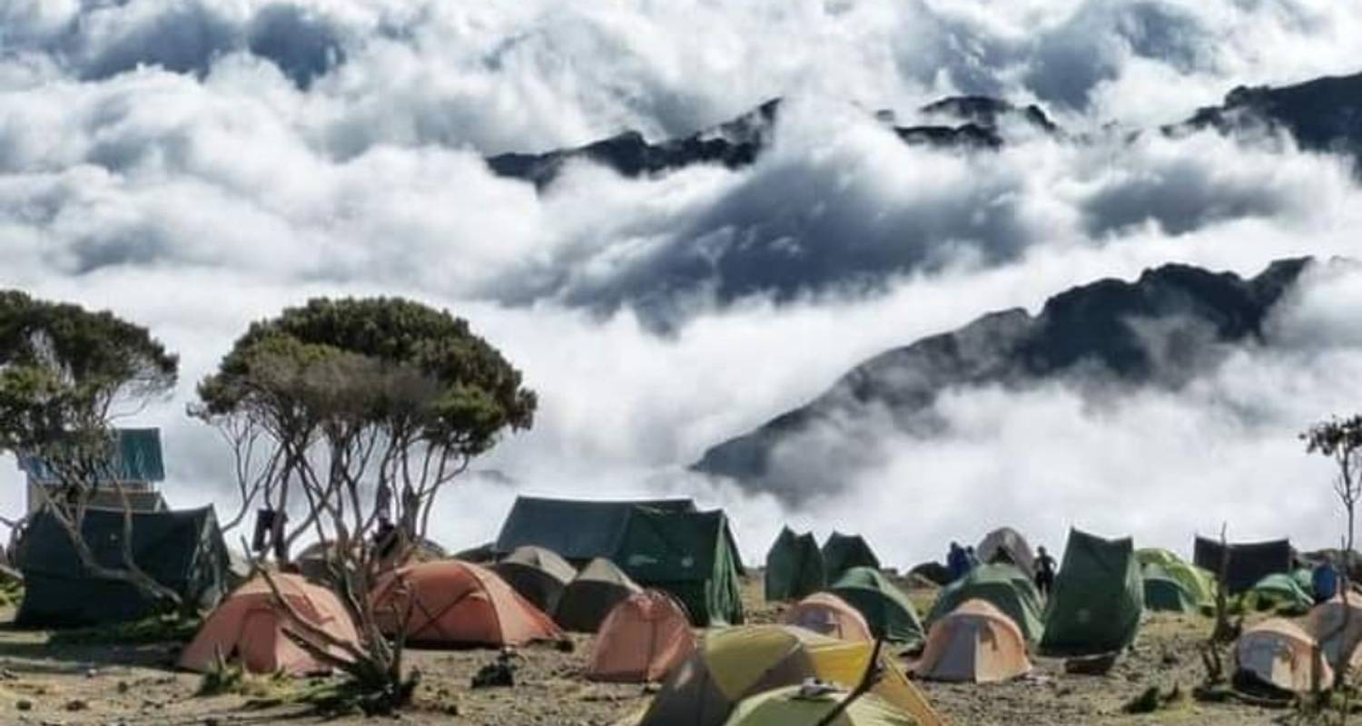 Voyages Randonnée et trek au départ de Kilimandjaro