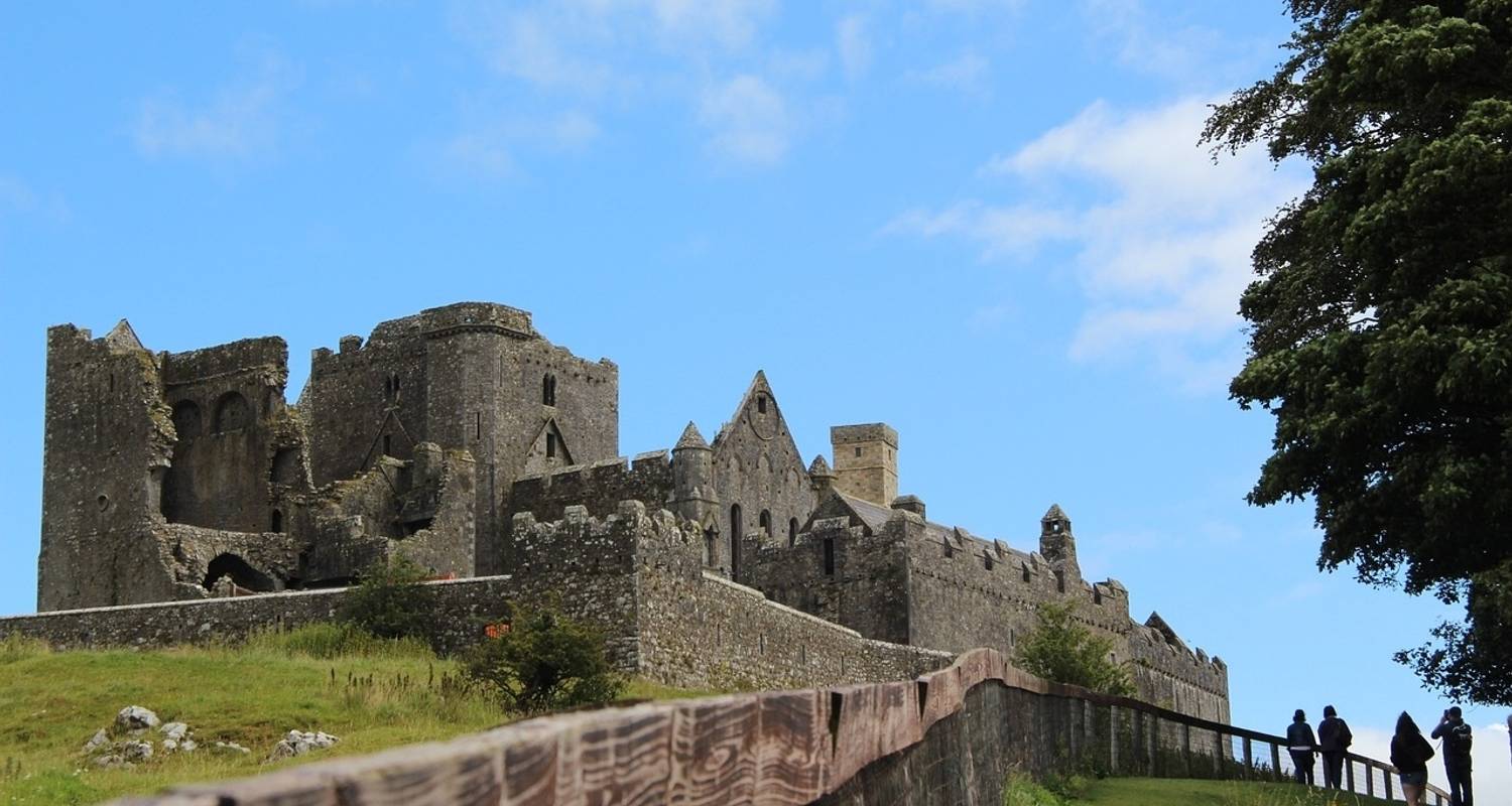 Culinary Indulgence | Ireland