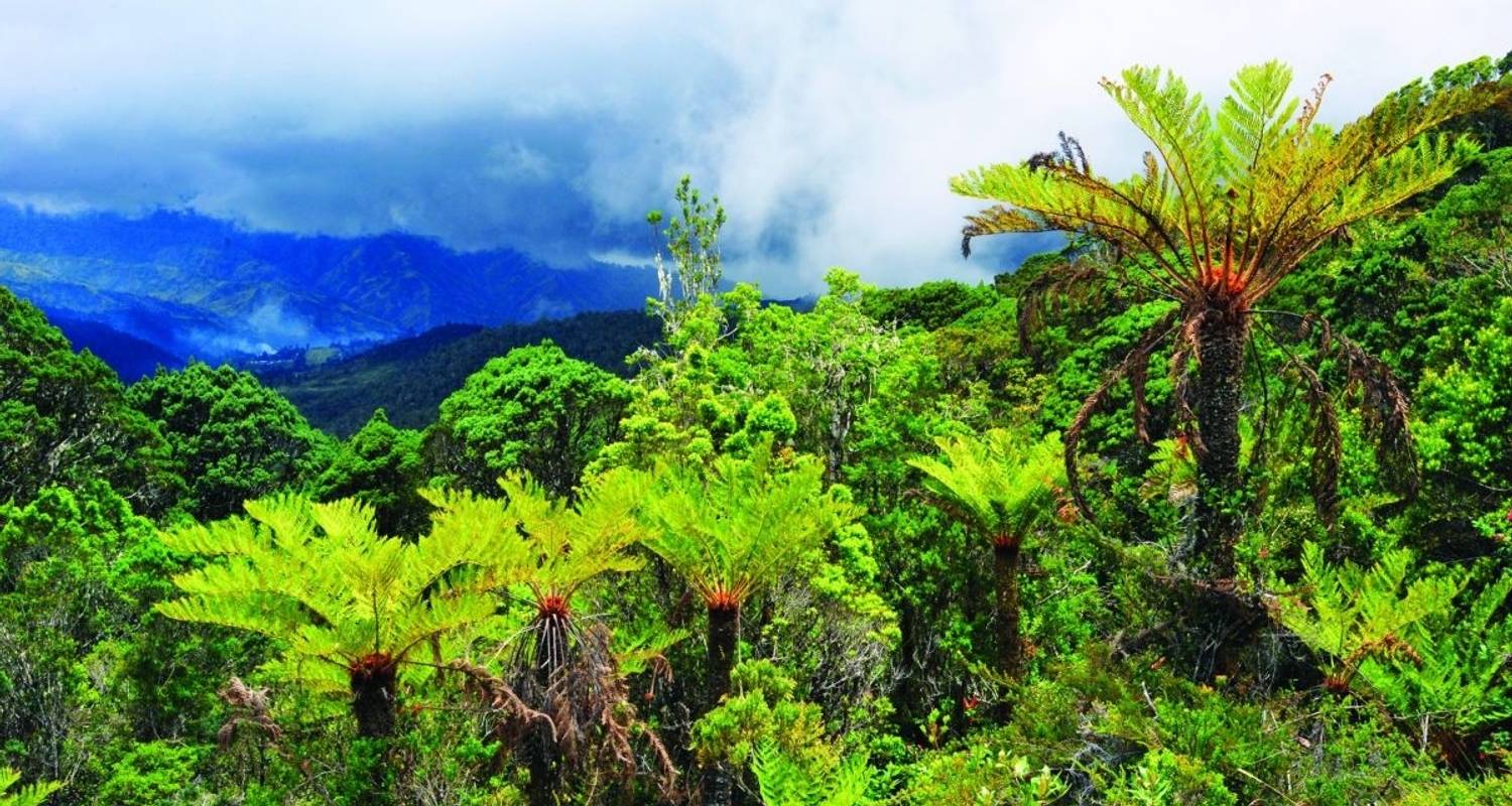 Senderismo y Trekking Circuitos en Papúa Nueva Guinea