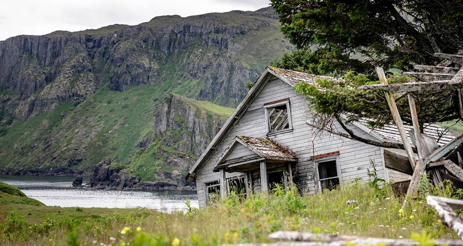 Alaska and British Columbia—Inside Passage, Bears and Aleutian Islands (Northbound) - Hurtigruten