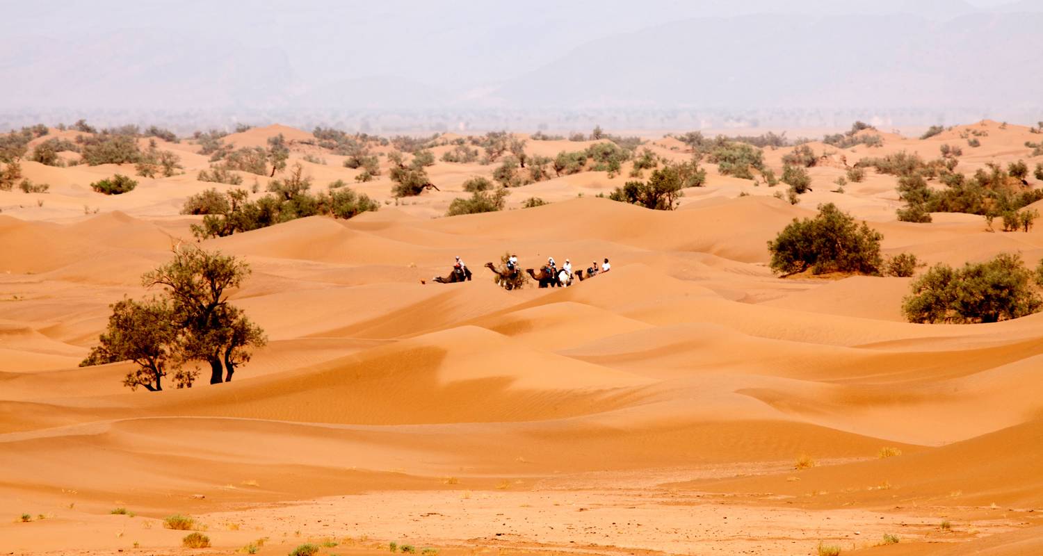 Desert Nomad Special - Morocco - As You Wish