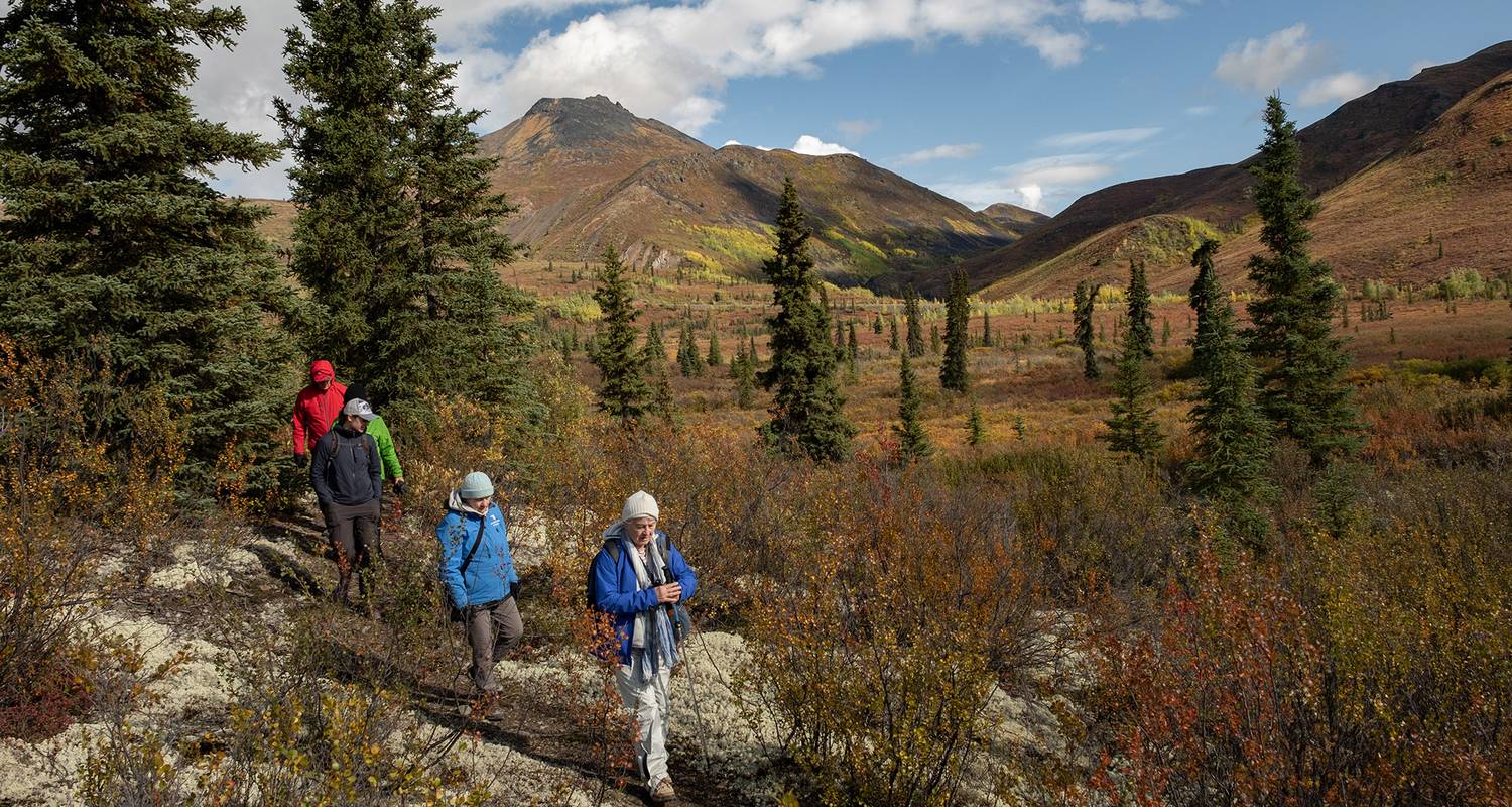 Yukon Explorer 11-daagse rondreis vanuit Whitehorse - Mosaic Earth Travel