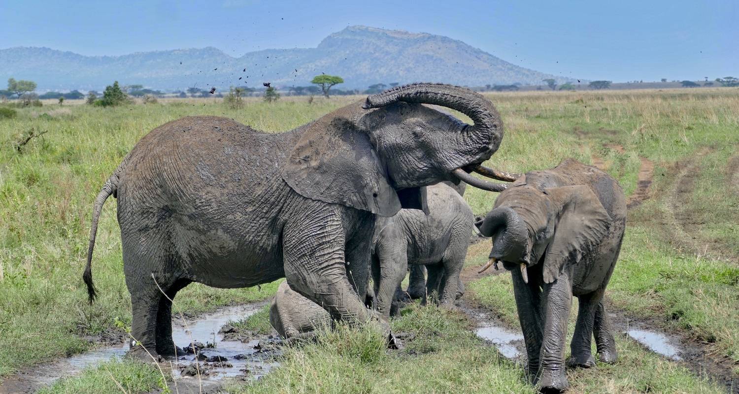 3 Jours, 2 Nuits Maasai Mara Group Joining Budget Safari Kenya With Landcruiser - World Adventure Tours