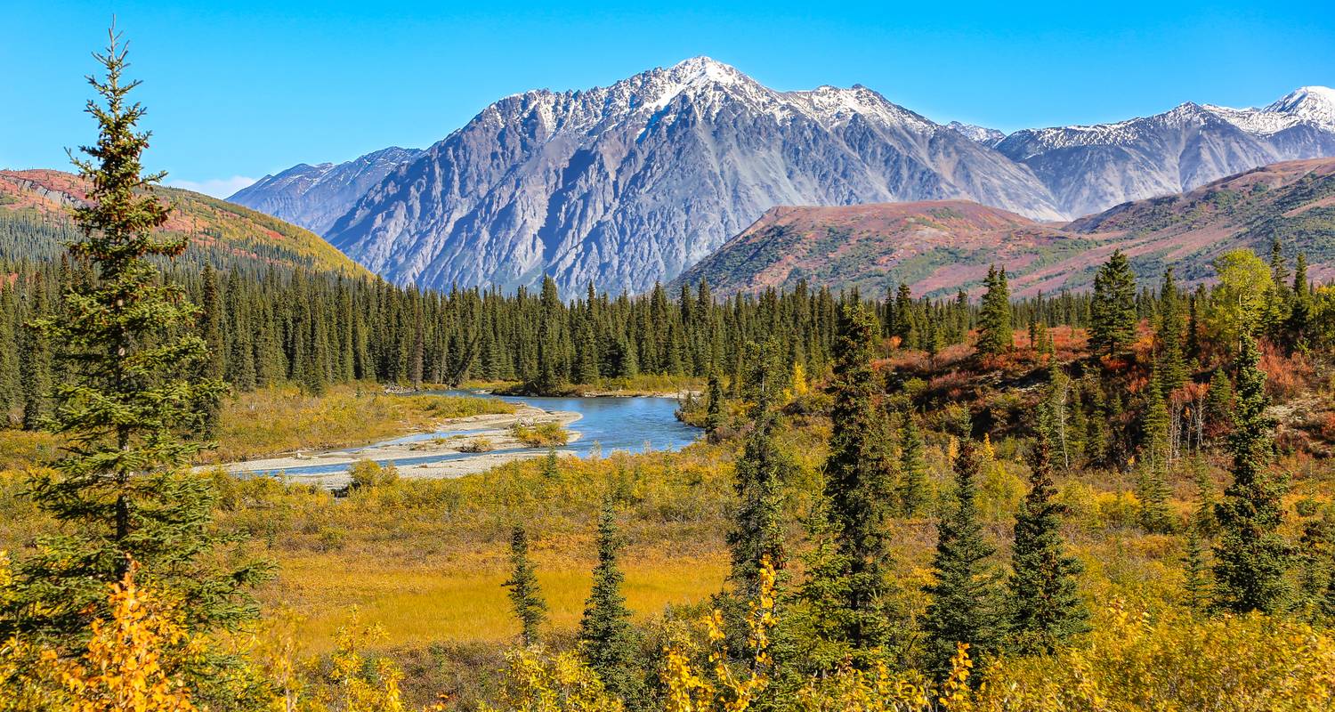Alaska & The Yukon With Cruise 2024 by Cosmos with 52 Tour Reviews
