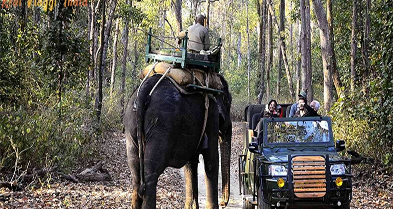 Indien Wildlife Abenteuer - Real viaggi india 