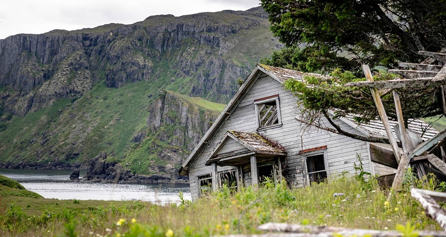 Inside Passage, Bears & Aleutian Islands Northbound by Hurtigruten
