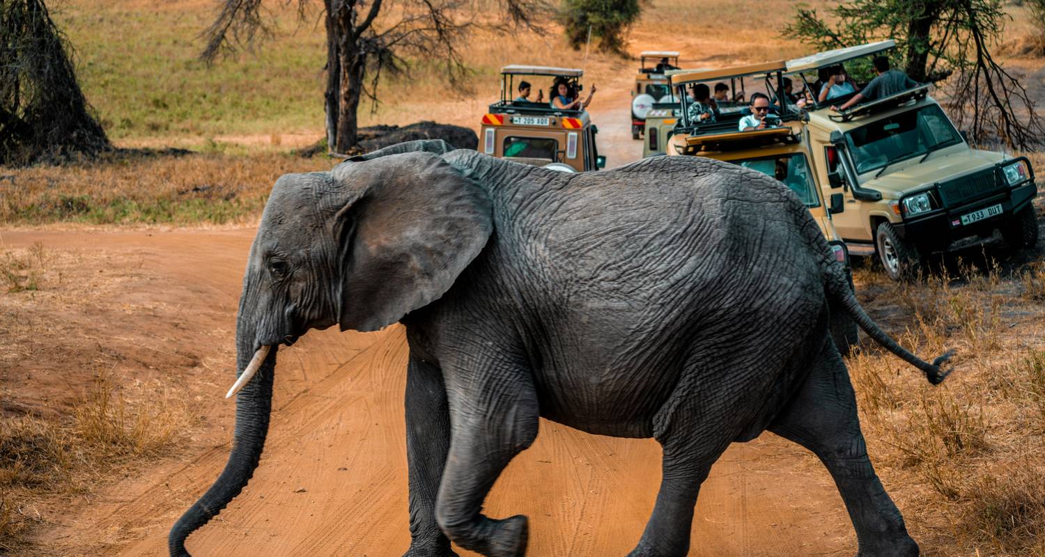 Únete a nuestro extraordinario viaje económico de 6 Días por Kenia y Tanzania - Saliendo de Nairobi a un precio asequible - Africa Natural Tours