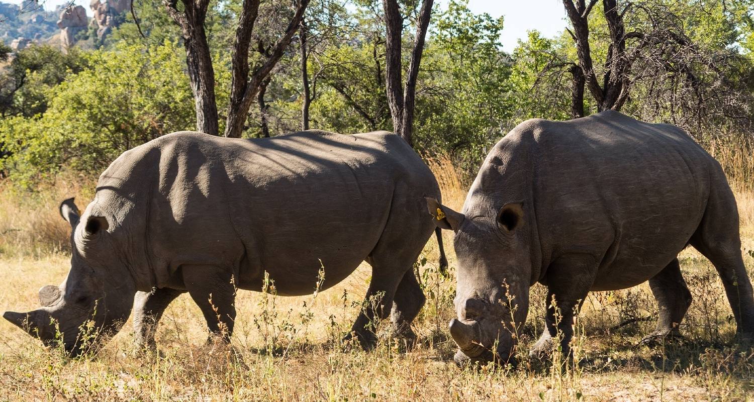 Südafrika-Simbabwe-Botsuana Jeep Tour