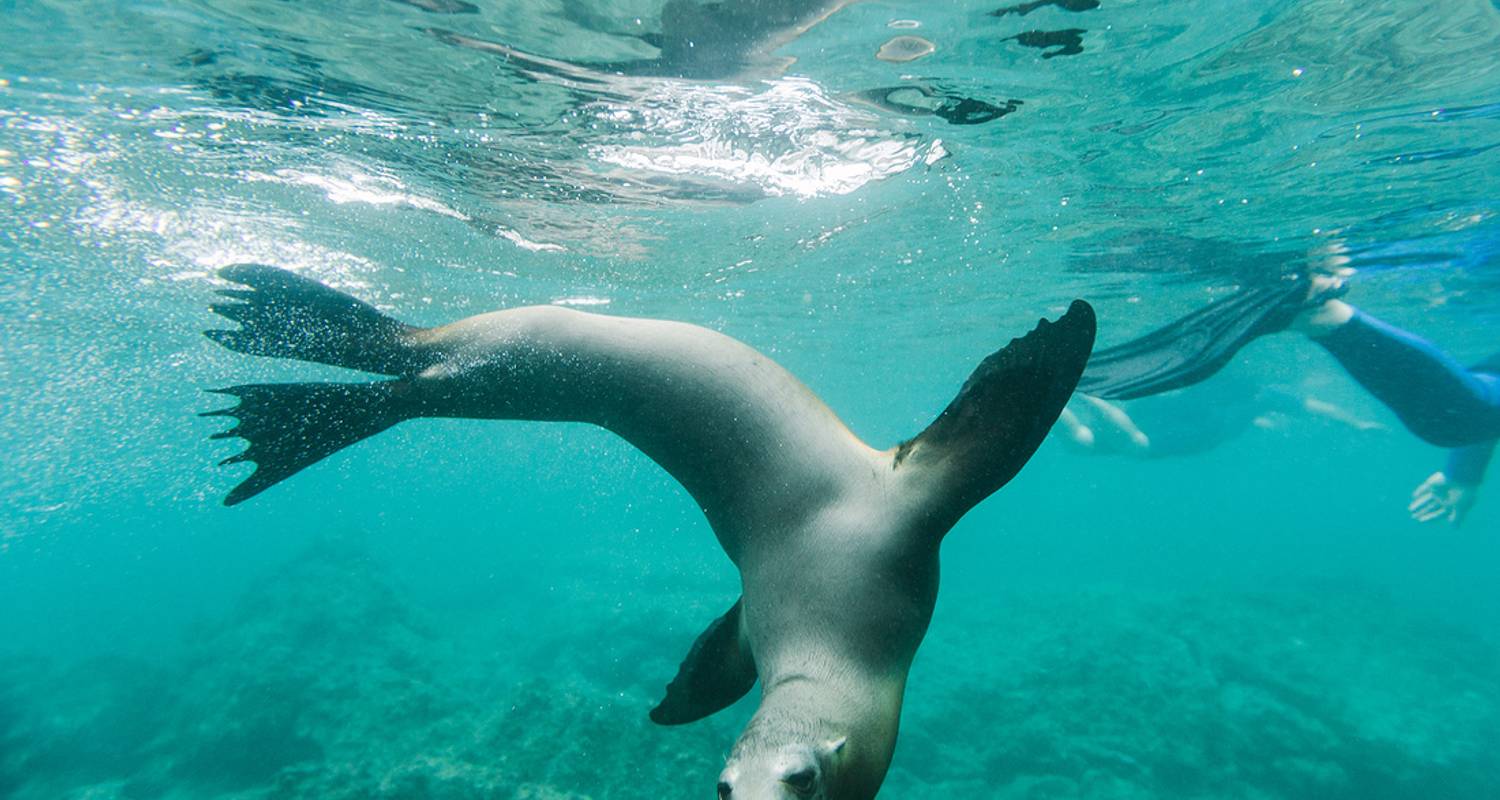 Aventure aux Galápagos et sur la Piste Inca (22 destinations) - Intrepid Travel