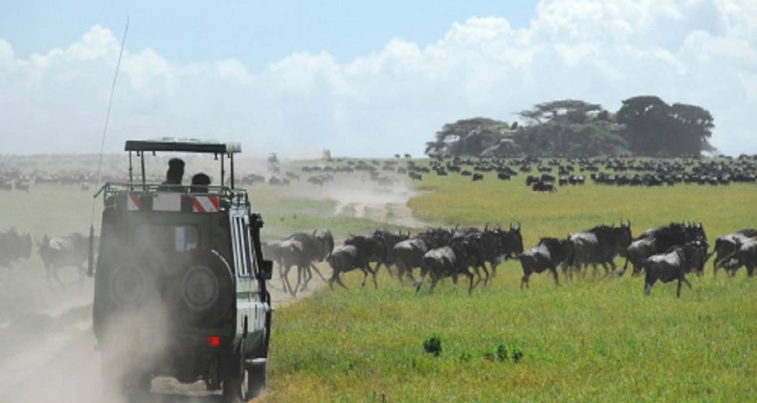 Best 3 Days Serengeti, Tanzania Group Joining Safari - Starts from Arusha with affordable price 2024-2025 - Africa Natural Tours