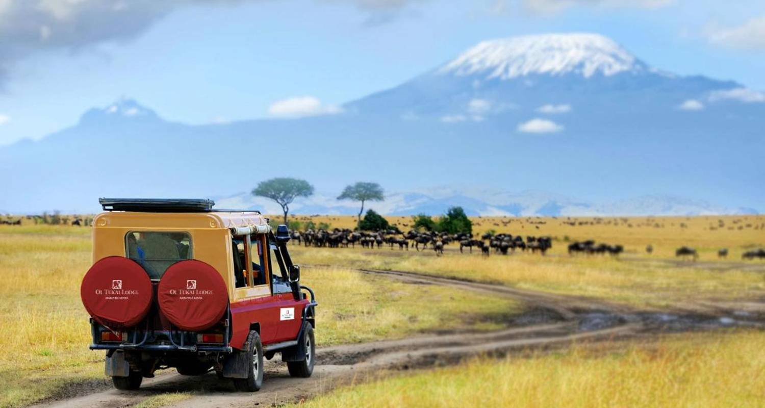 Safari de 1 jour à Amboseli - Samson's Safaris