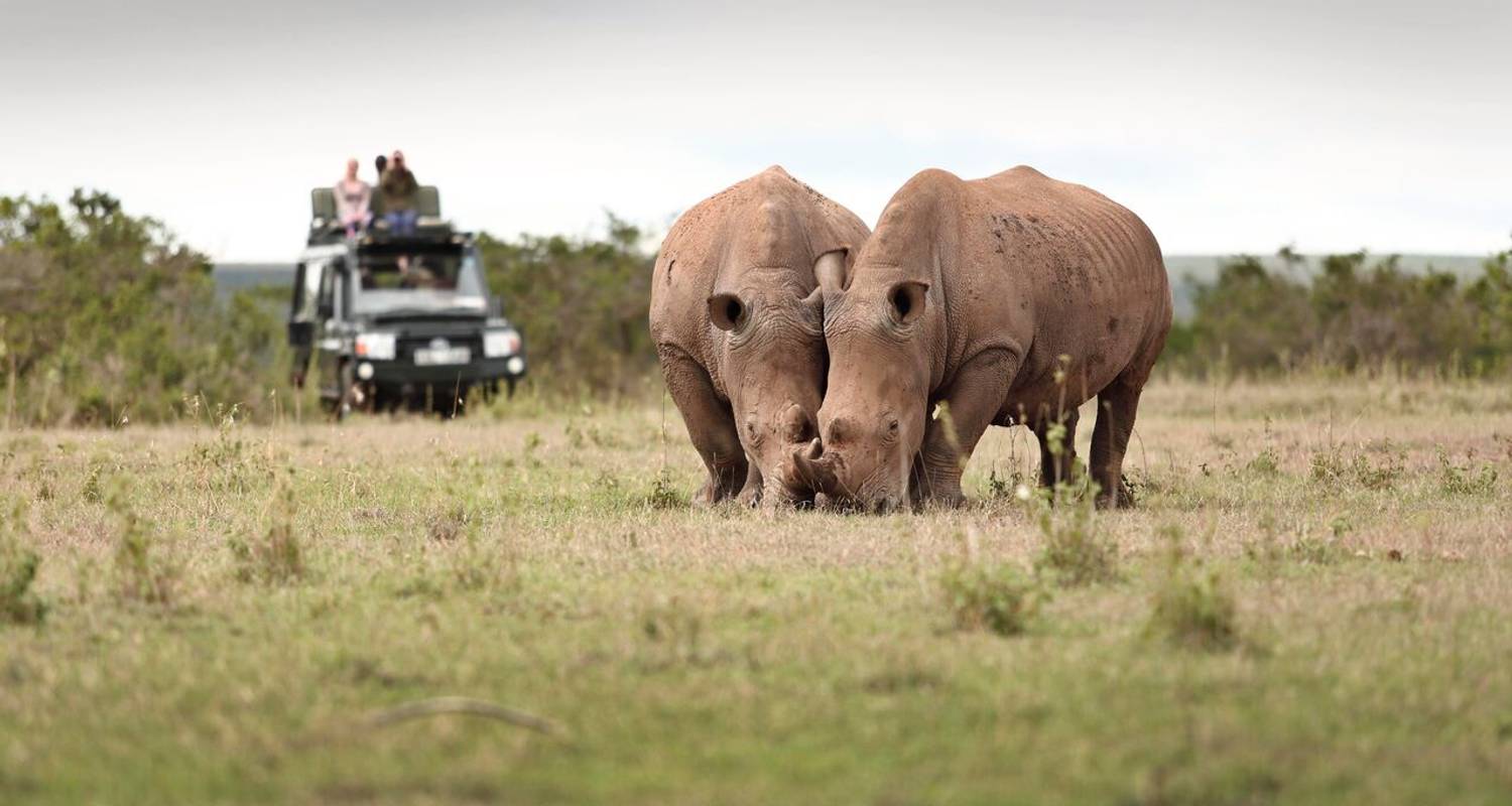 Solio Ranch Safari 3 Tage - Samson's Safaris