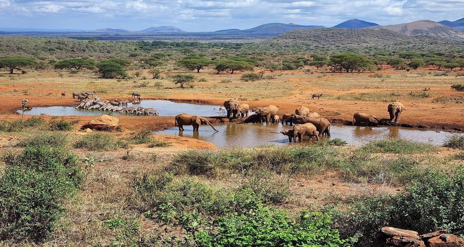 Safari privado de 3 días en Amboseli - Samson's Safaris