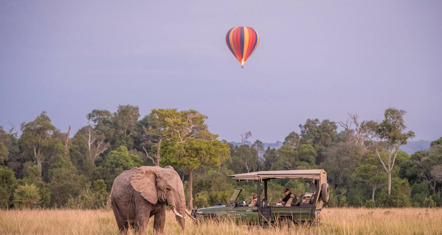 Masai Mara private Safari 3 Tage - Samson's Safaris