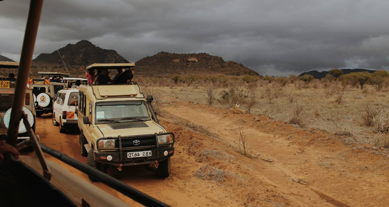 Safari d'une journée dans les collines de Shimba au départ de Diani - Samson's Safaris