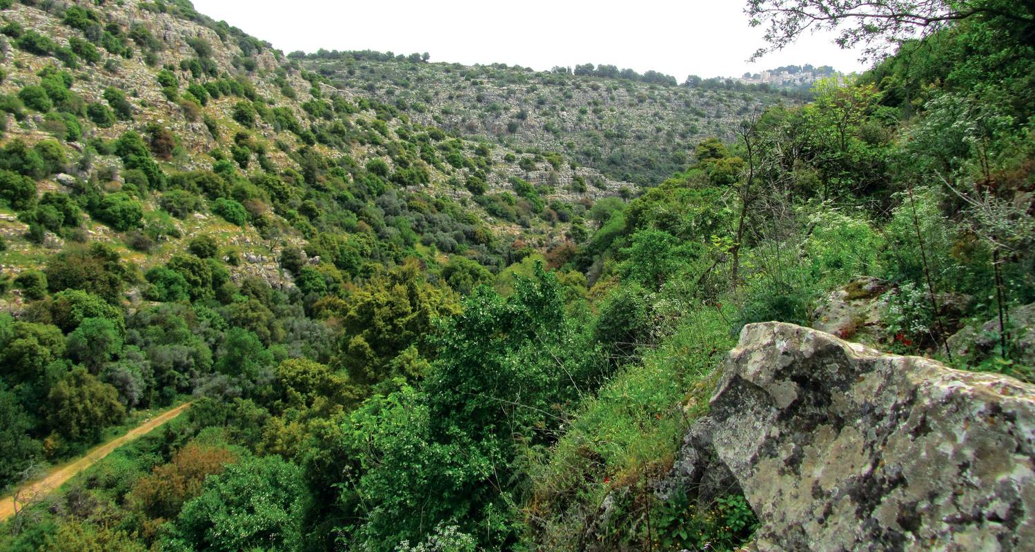 Safari d'une journée dans les collines de Shimba au départ de Diani - Samson's Safaris