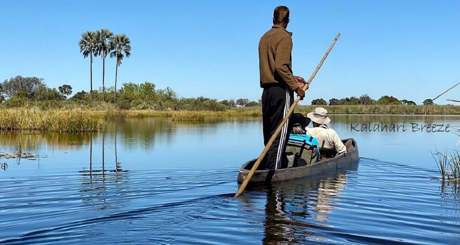 Excursion d'un jour en mokoro/canoë dans le delta de l'Okavango - Kalahari Breeze Safaris