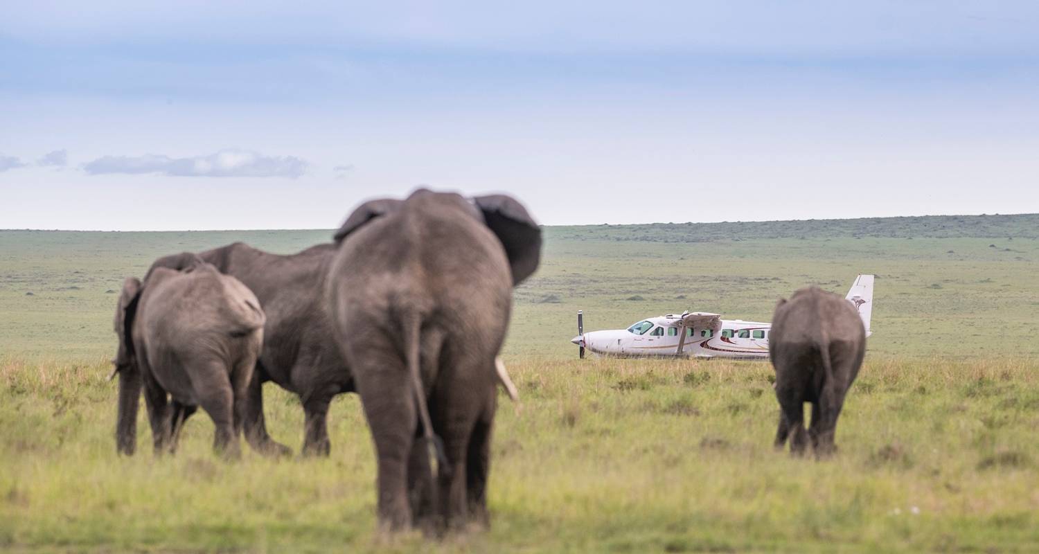 Safari de 3 días al Olare Mara Kempinski - Samson's Safaris