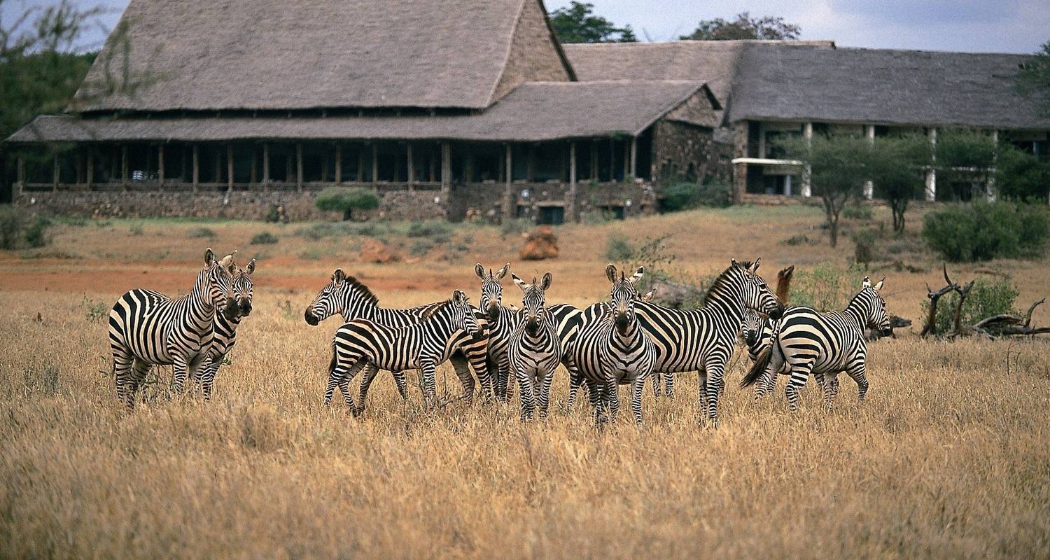 Safari Rondreizen in Tsavo Nationaal Park