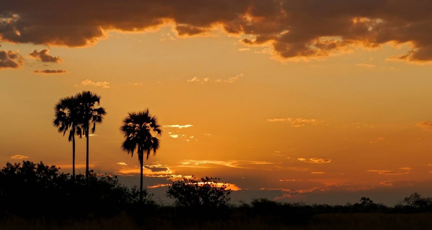 Kerstmis & Nieuwjaar Rondreizen in Chobe Nationaal Park