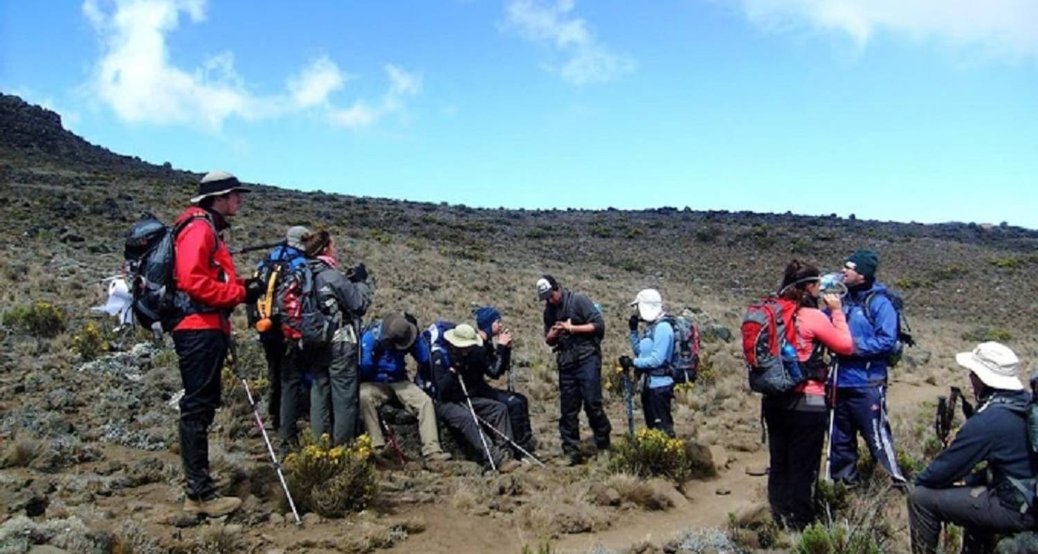 Machame Route - Top top beklimming Kilimanjaro in 7-daagse - Africa Natural Tours