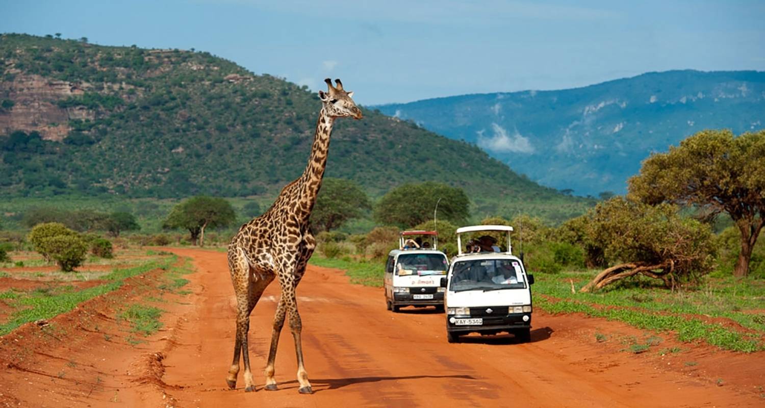 Jeep y 4x4 circuitos en Parque Nacional de Amboseli