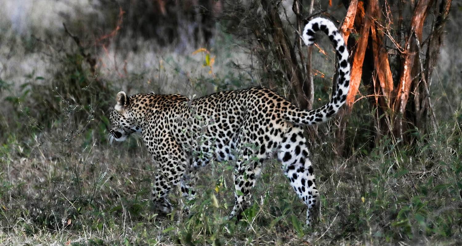 Herfst Rondreizen en Tours in Botswana