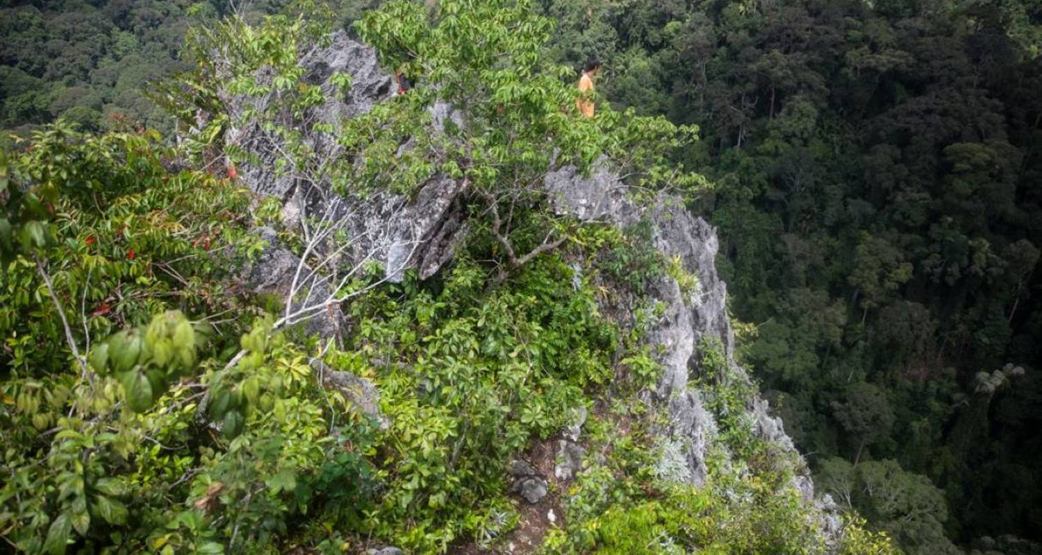 Circuits et voyages de 3 Jours dans le Bornéo