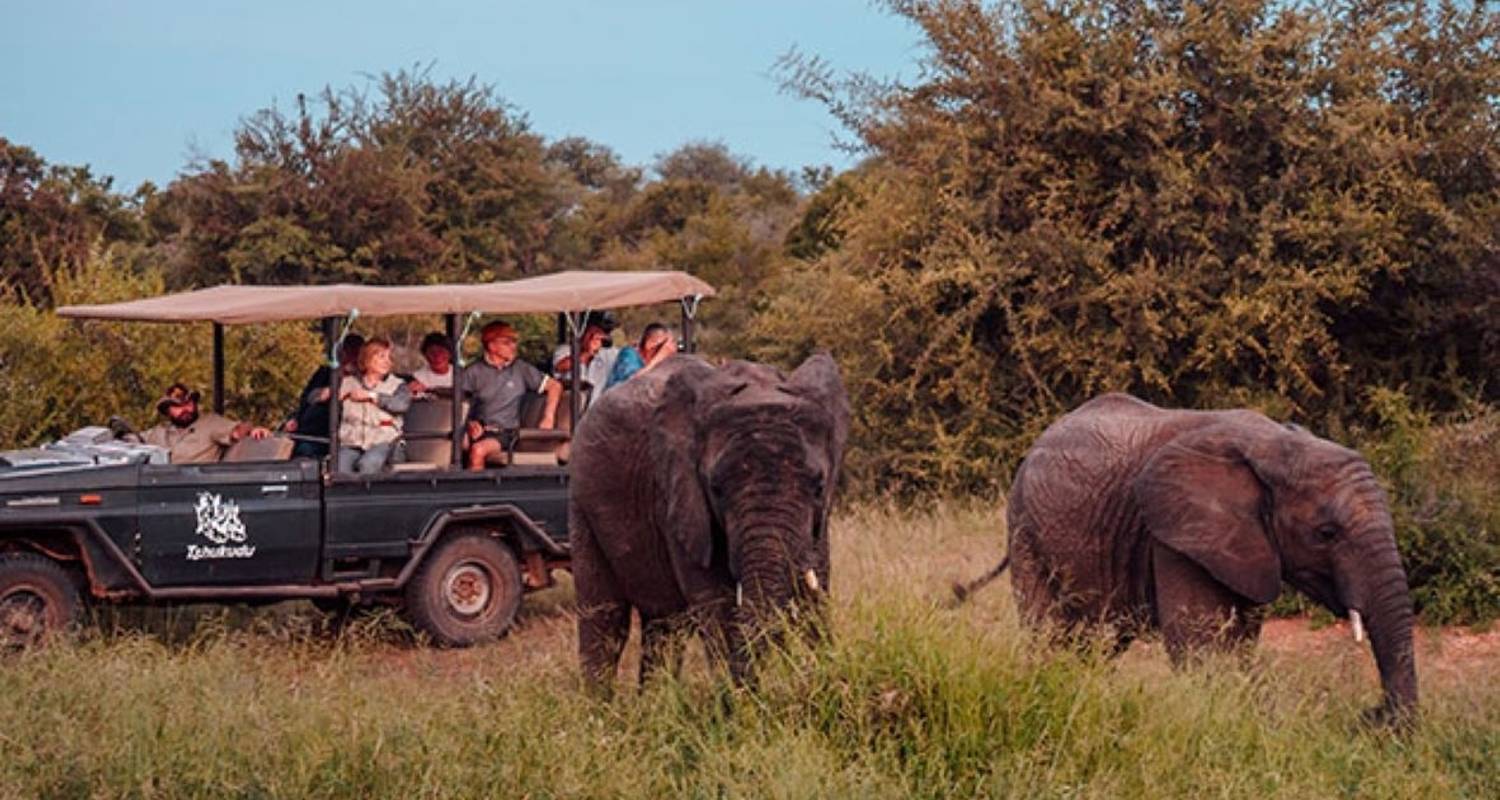 Kruger National Park, Hoedpsruit Bedreigde Soorten Centrum & Tshukudu - Knap Tours Limited