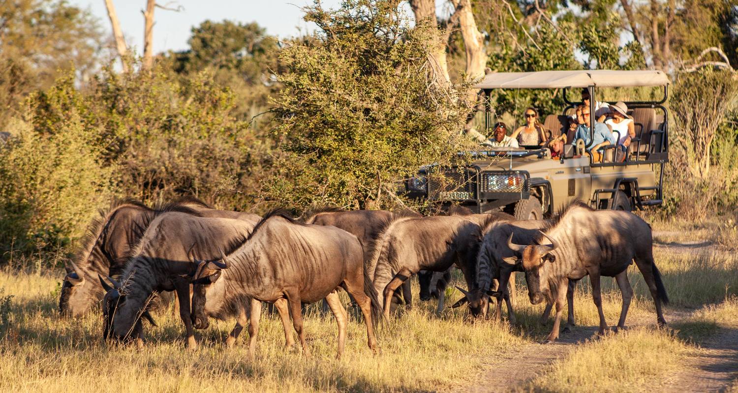 Botswana Small Group Tours