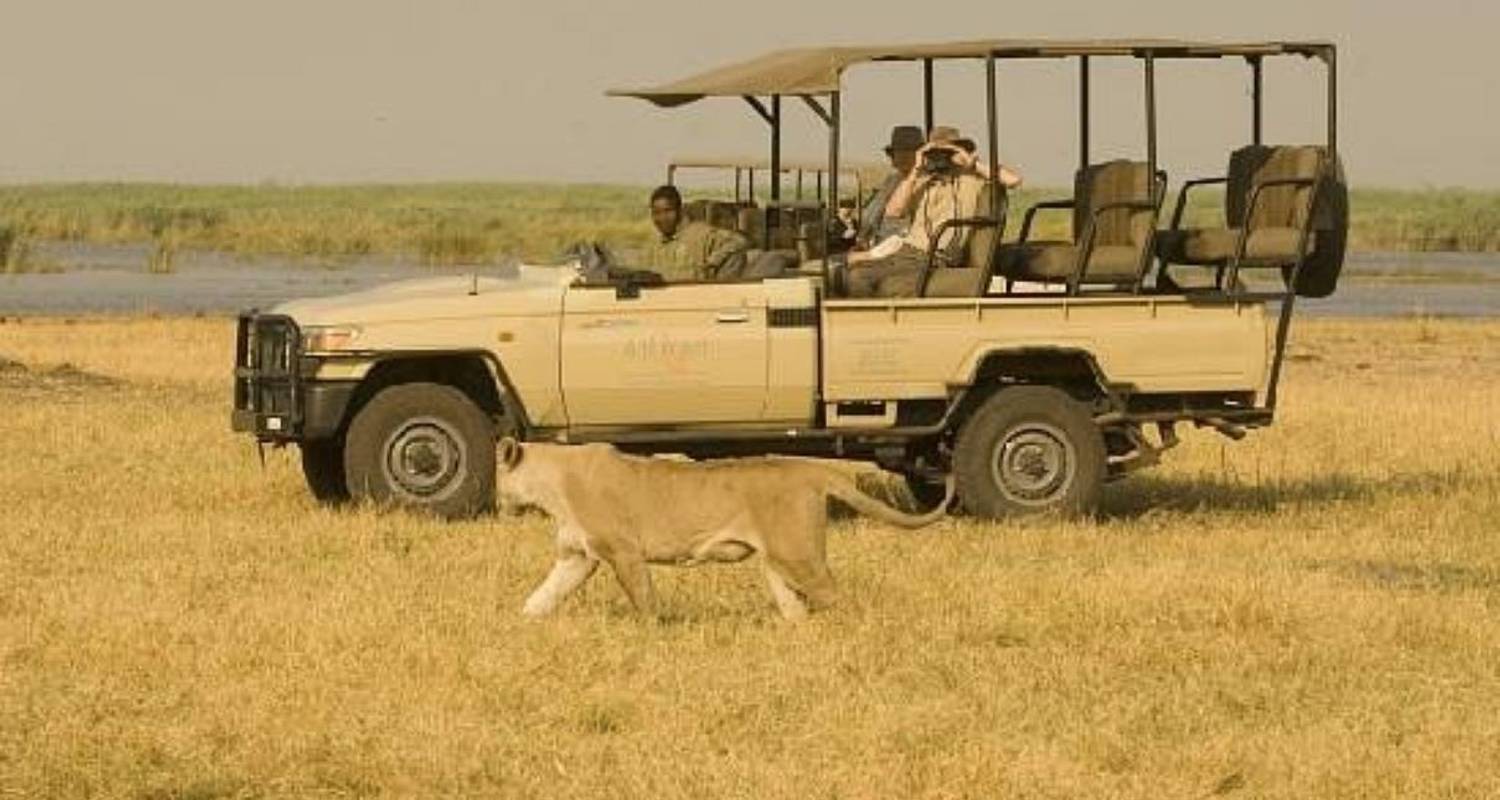 Fully Guided Tours & Trips in Moremi Game Reserve