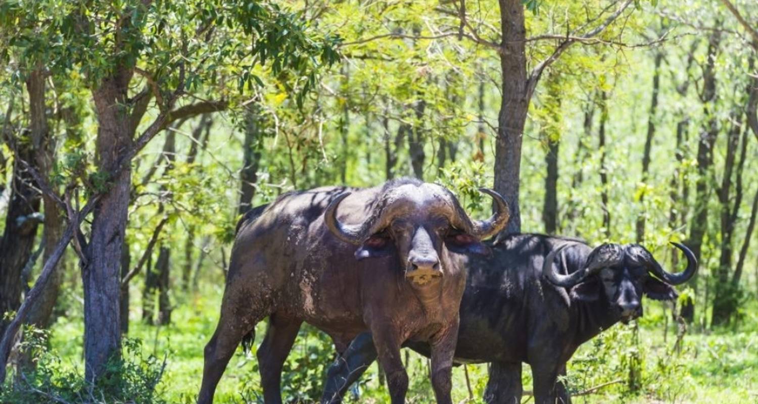 Familie Rondreizen in Limpopo