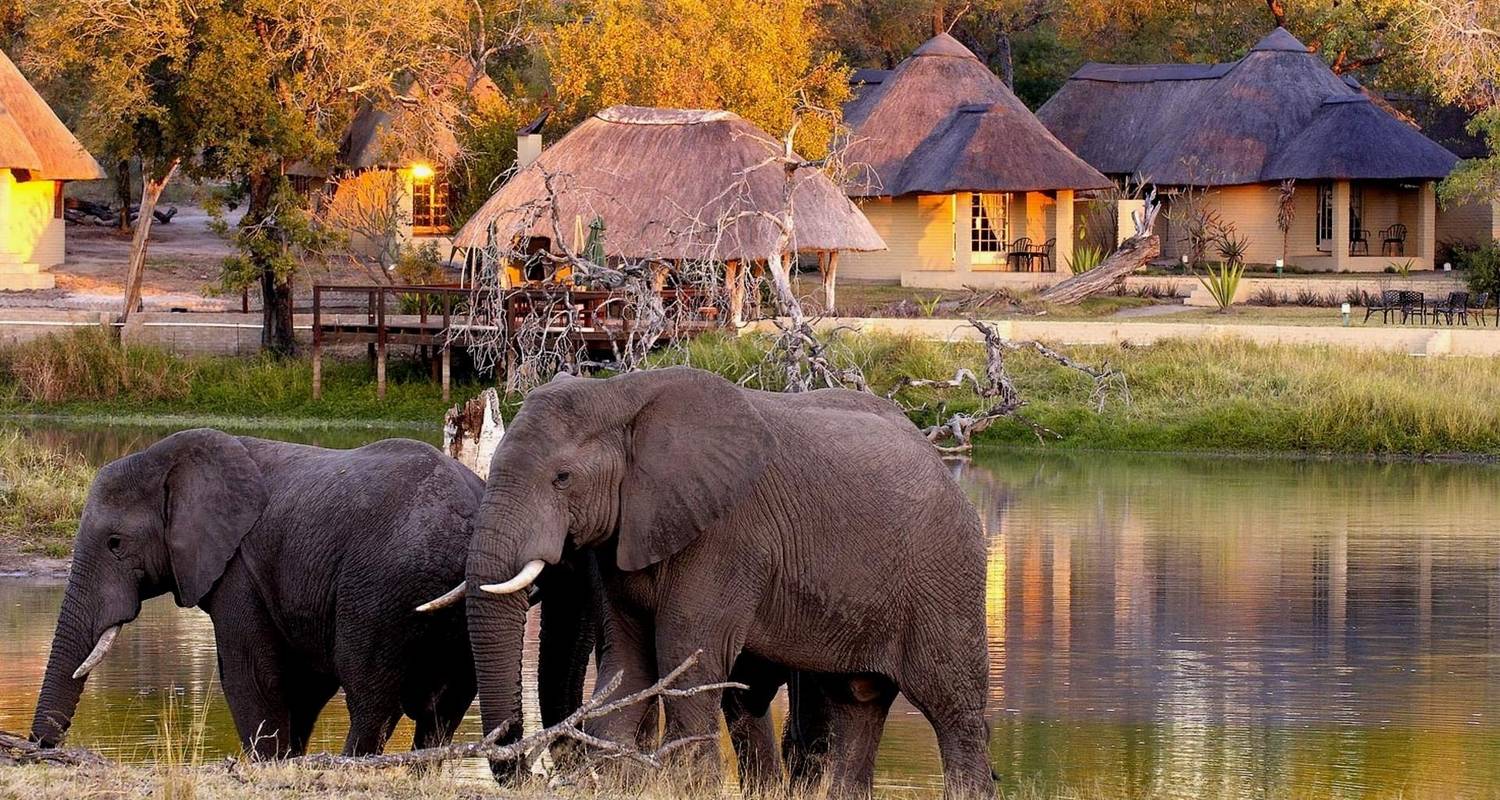 5-day Luxury Private Safari in Sabi Sands and Kruger, South Africa by ...