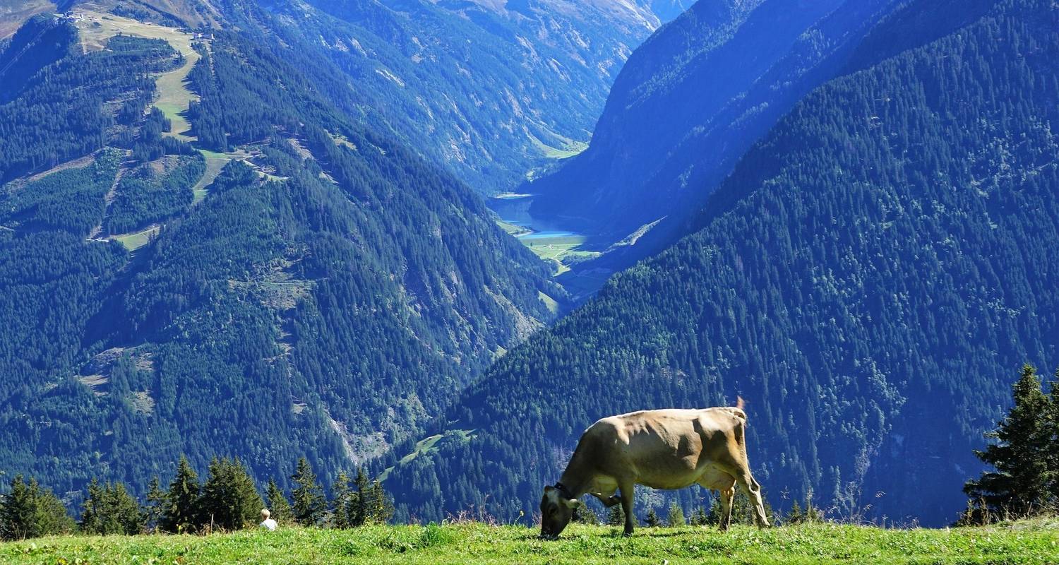 Hiking along the Zillertal Alps (6 days)