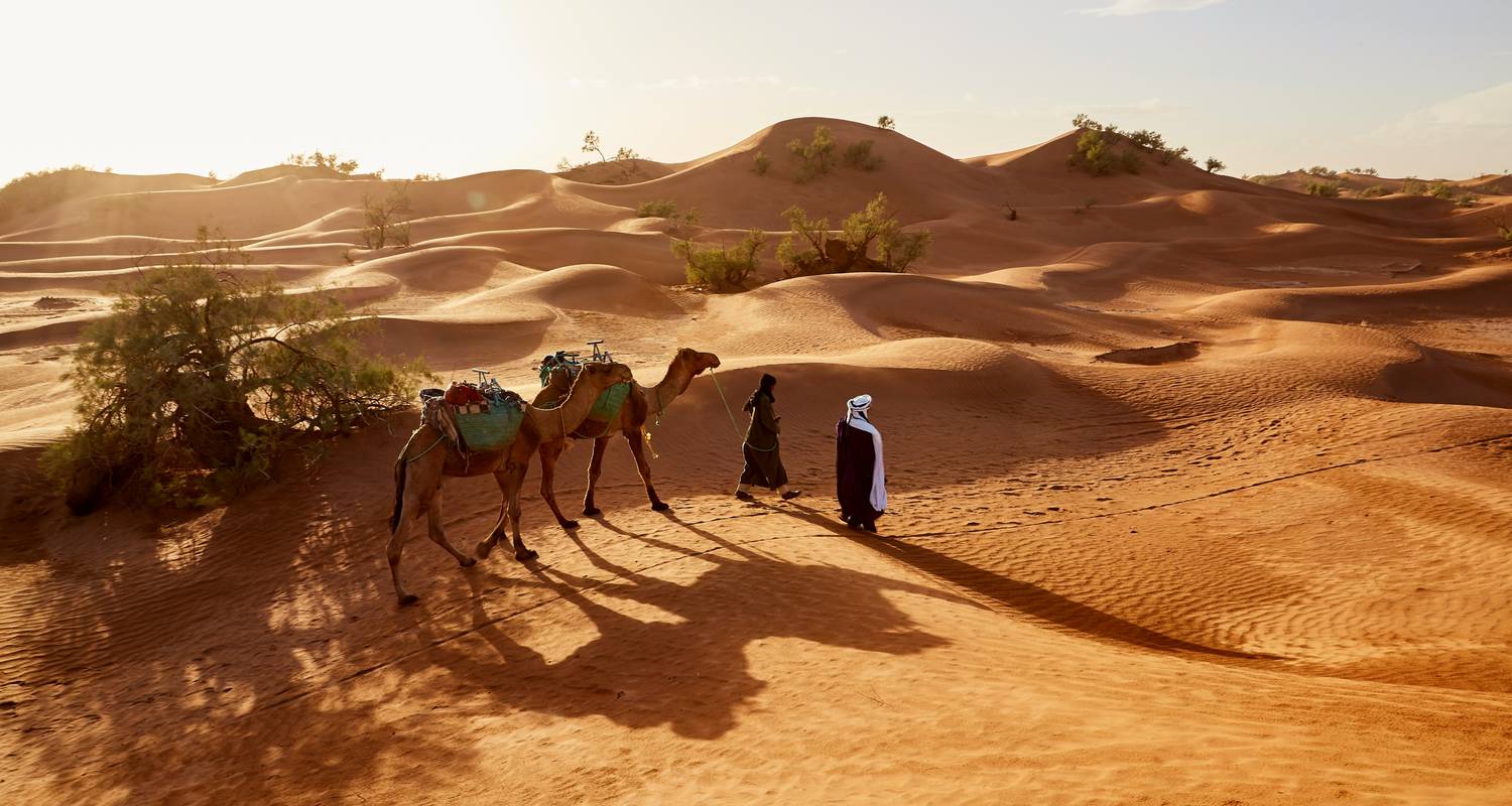 Trekking con camellos por el desierto de Marruecos - 5 días - Private Desert Tours