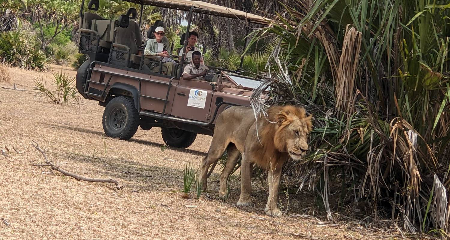 Vanuit Zanzibar: Mikumi dagsafari - Beach and Safari Holidays