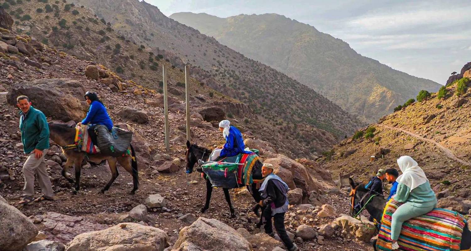 1-Day Tours From Marrakesh To Mule Trekking In Imlil - Morhara Morocco Tours