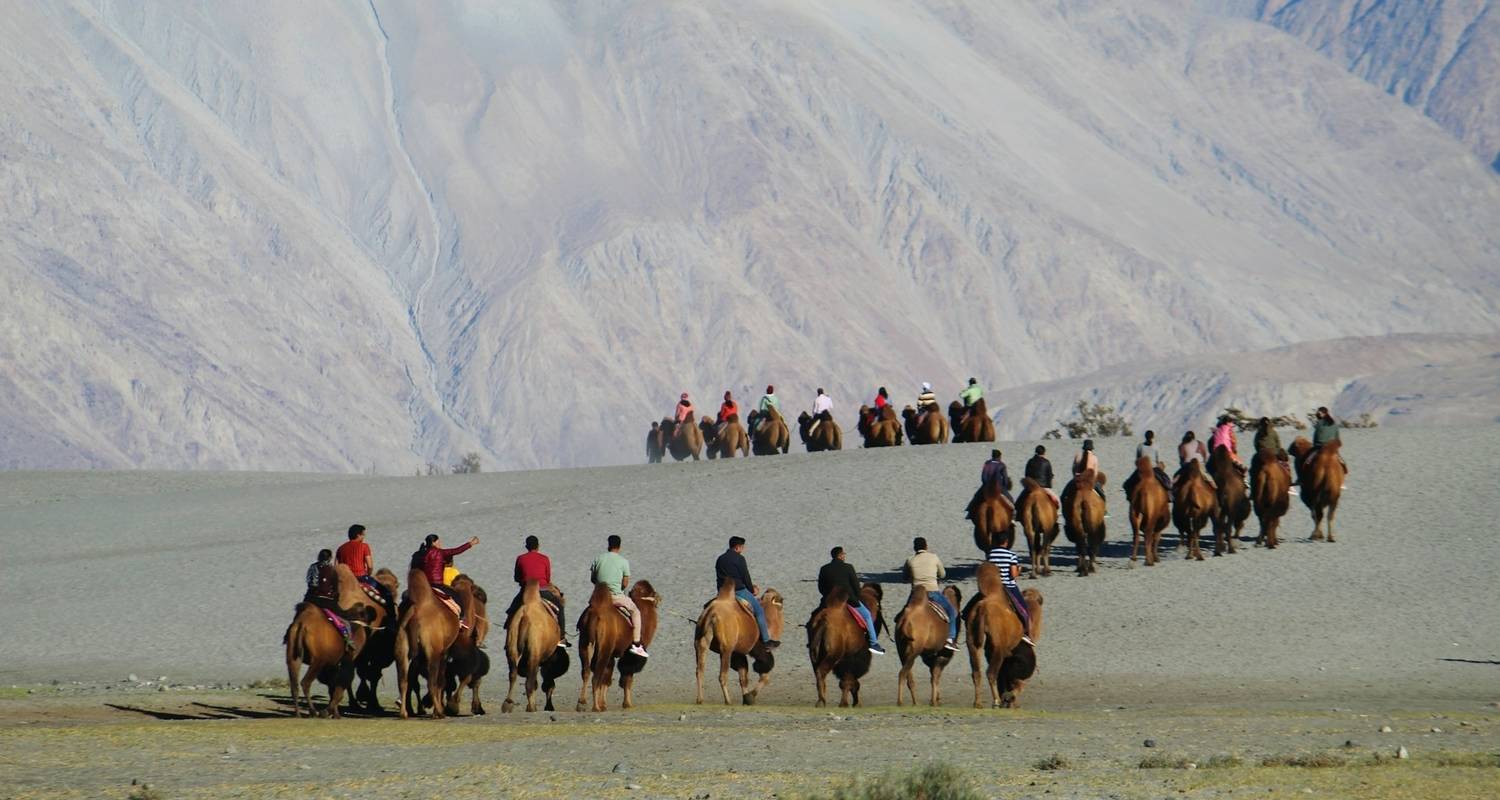 Ladakh Diepgaande Reis Pakket - GoBook India Tours