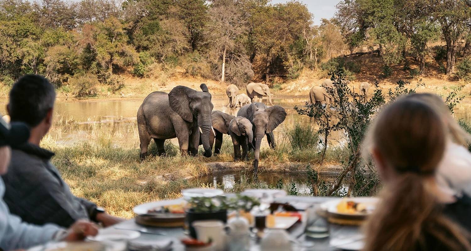 Safari Tours from Johannesburg