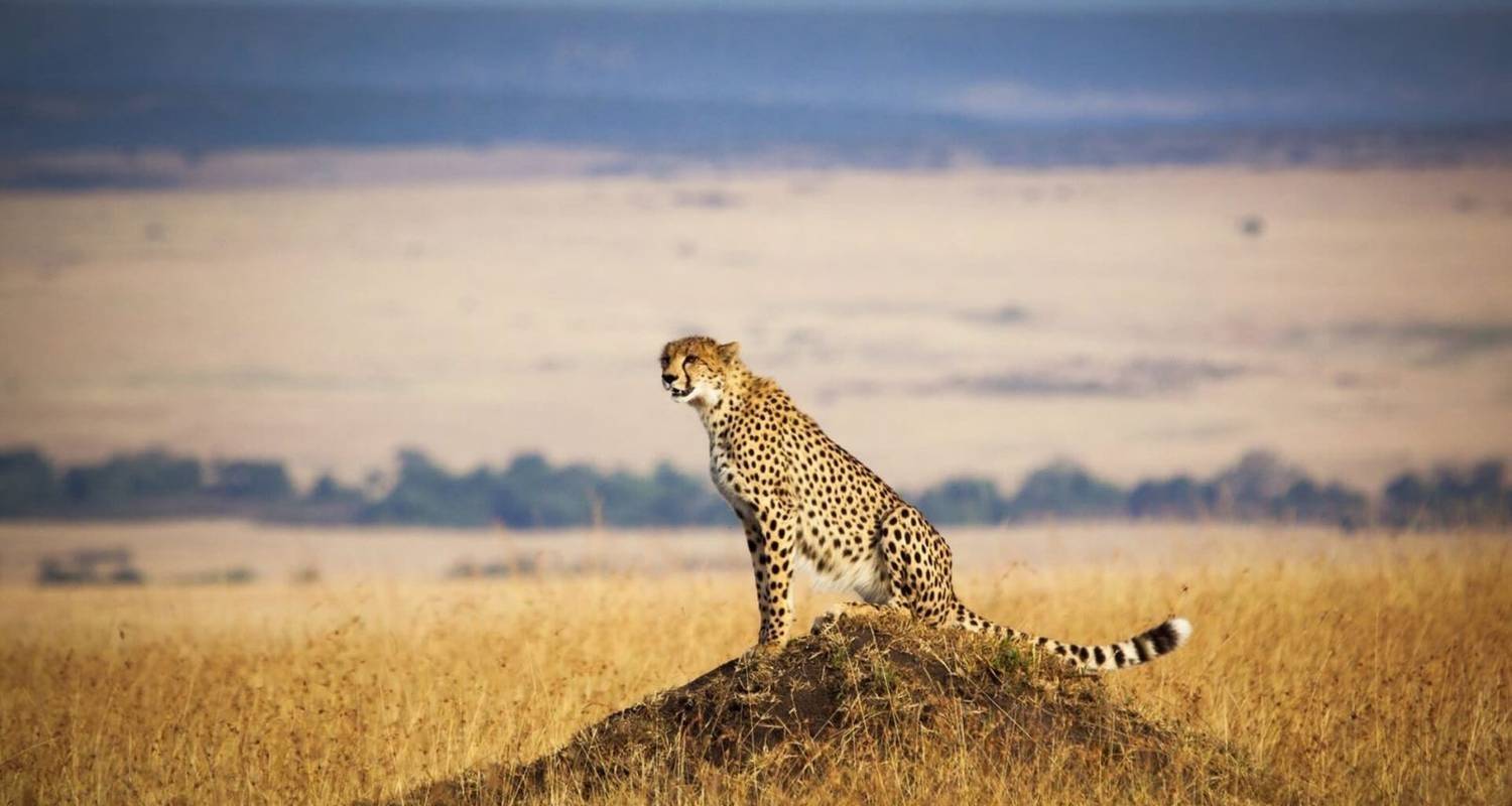 5 Days Tanzania Safari - Nature Safari