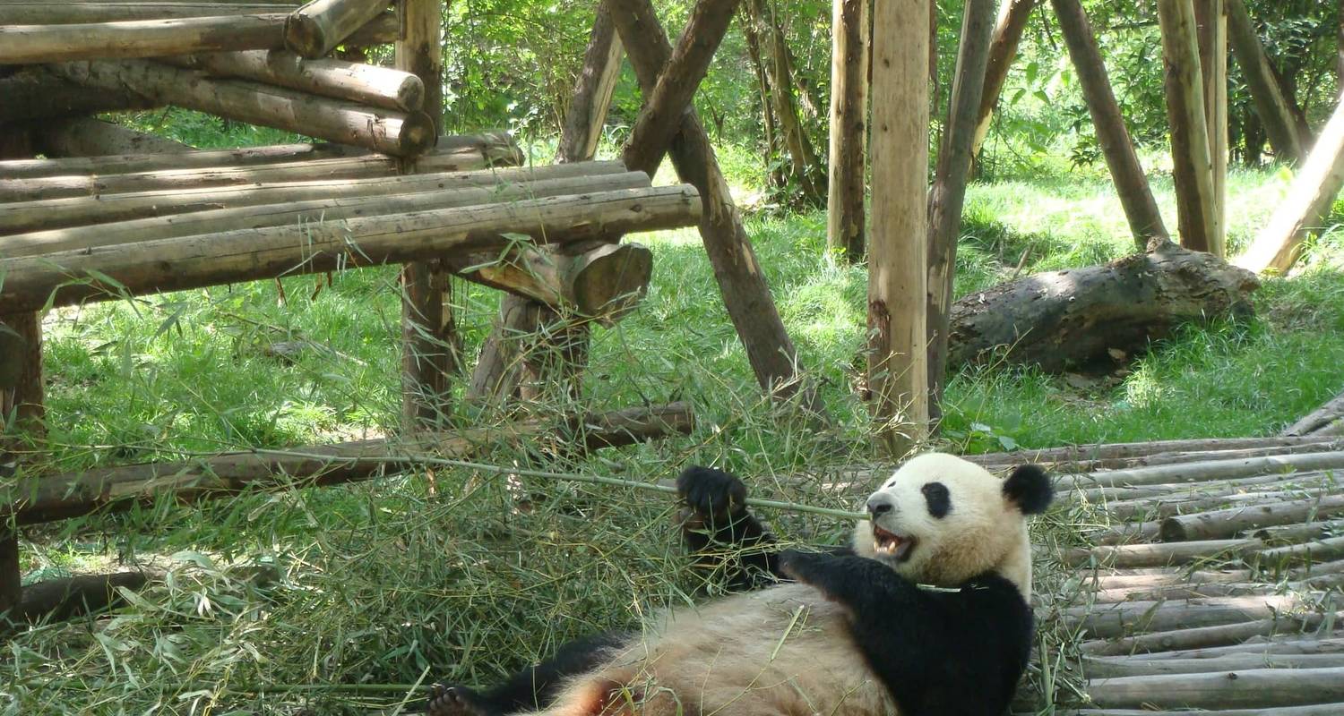 Découvrir l'essence de la Chine : De la Cité interdite aux sanctuaires de pandas (sur mesure) - Odynovo