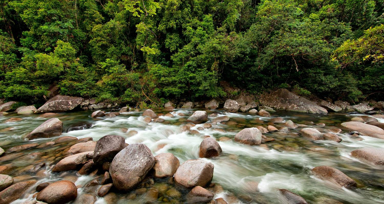 Daintree Rainforest Discovery - 4 days - On The Go Tours