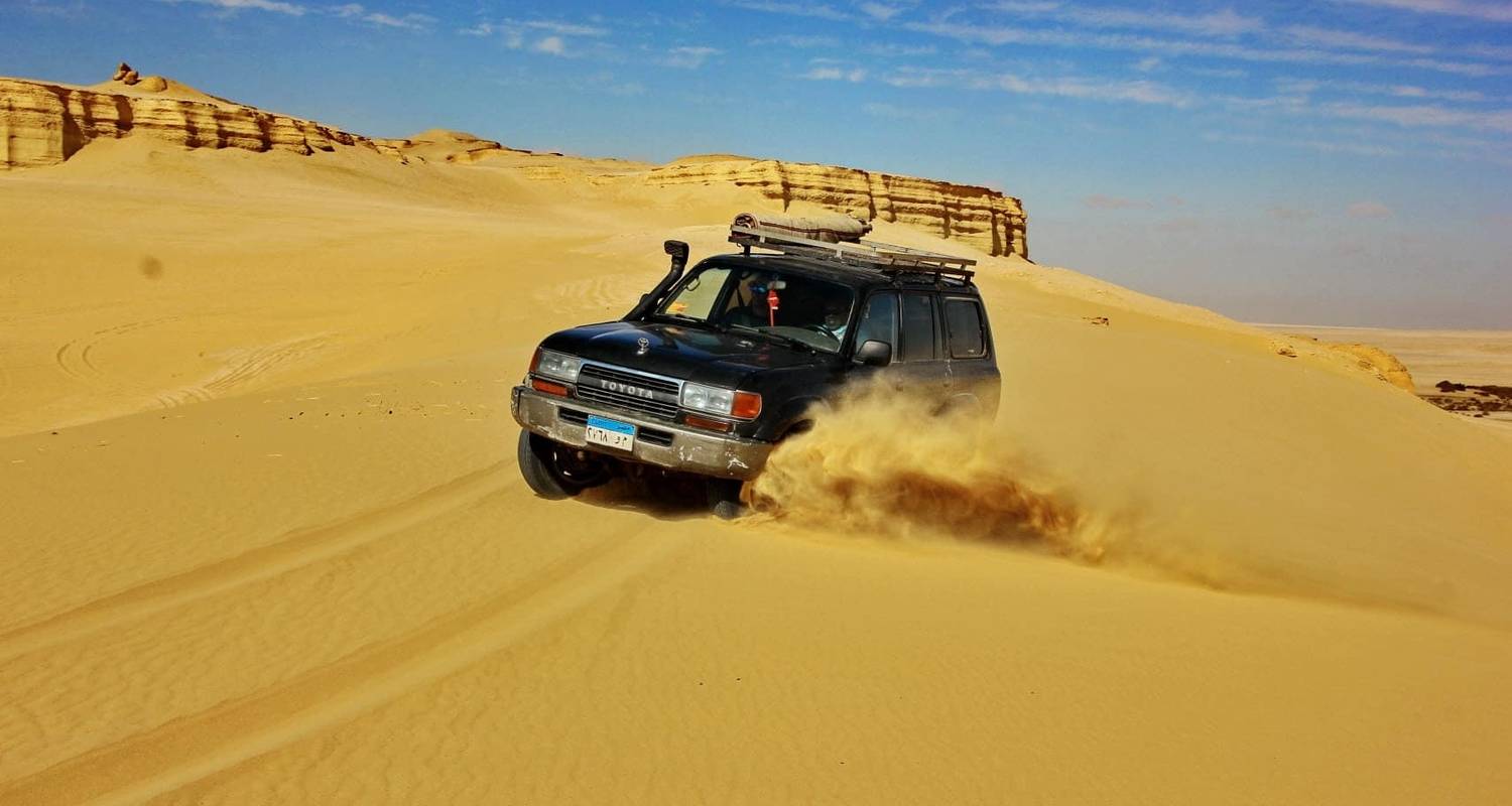 Excursión al oasis de Fayoum y las cascadas de Wadi El-Rayan desde el Cairo - Marko Egypt Tours