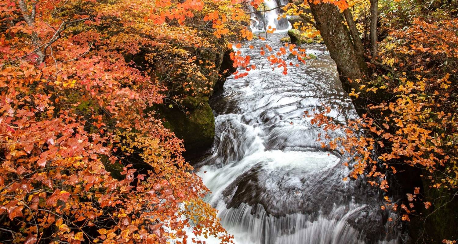 Descubrimiento de los Colores Otoñales de Japón en 14 Días (Grupo de 8-12 Personas, Mejores Fechas 23 Nov-6 Dic) - Odynovo